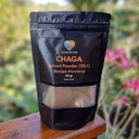 [PLT-006] Siberian Chaga Mushroom Extract Powder (10:1) (Inonotus Obliquus) (50 gr)