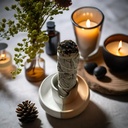 ins-079_incense_holder_05