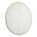 shd-116_shamanic_drum_egg_dragon_50_02.webp