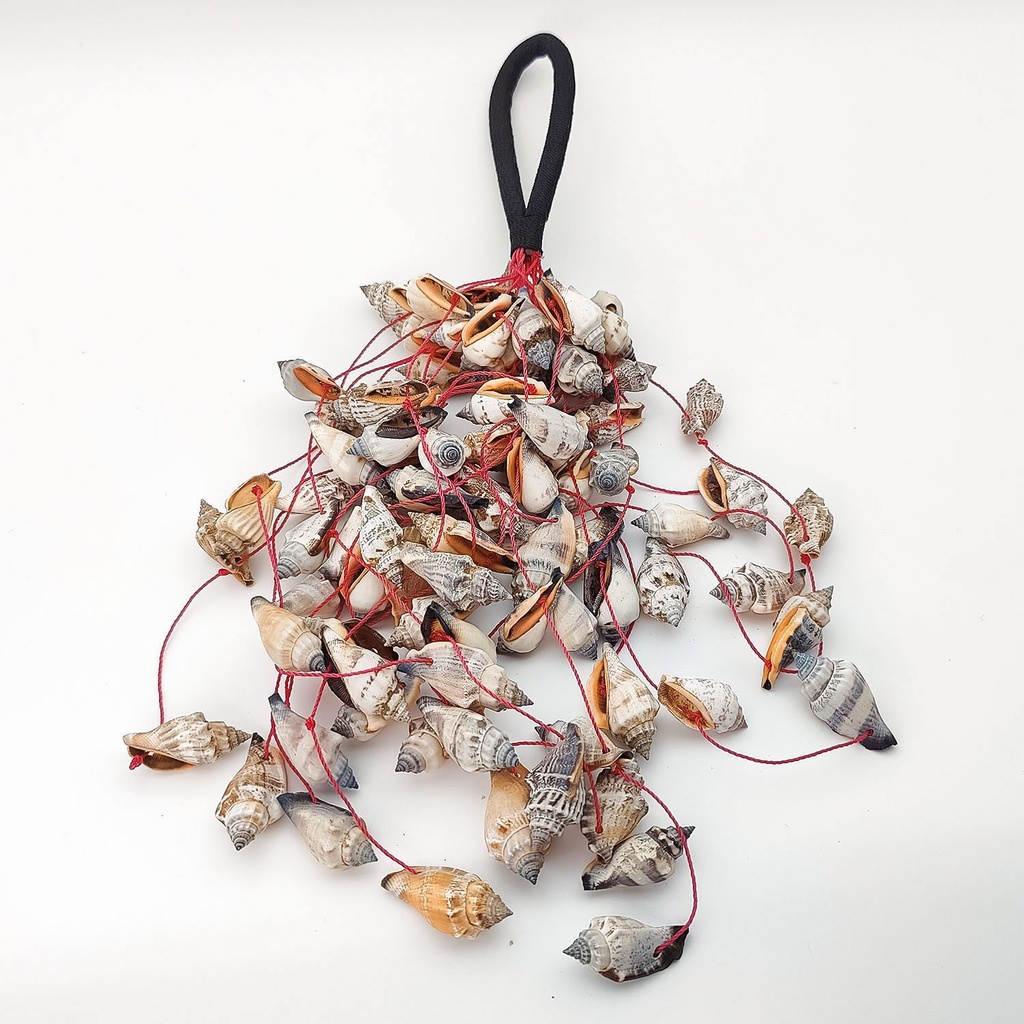 [MUI-113] Shell Shaker Red Strings